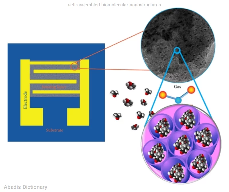 self assembled biomolecular nanostructures
